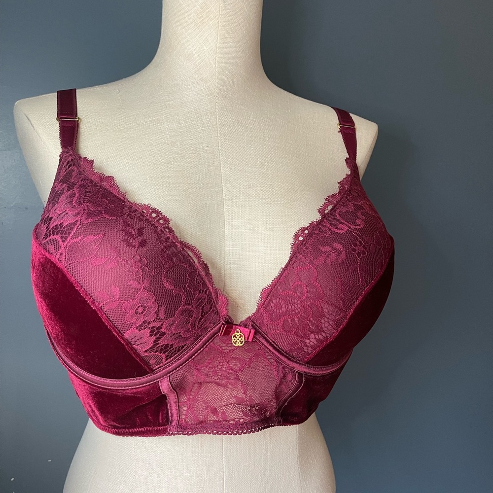 Bustier Corset style bra with slight padding.